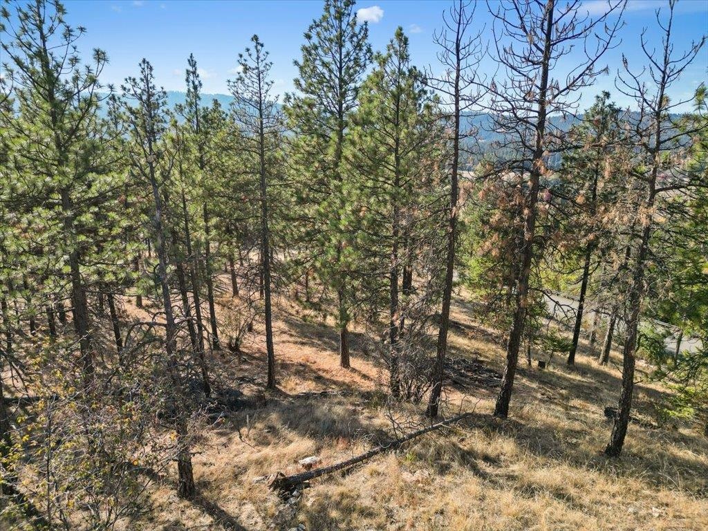 12616 East Chester Ridge Lane, Unit LOT 6 Spokane, WA 99206 - Photo 20 of 25