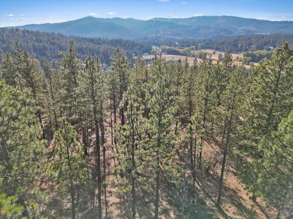 12616 East Chester Ridge Lane, Unit LOT 6 Spokane, WA 99206 - Photo 21 of 25