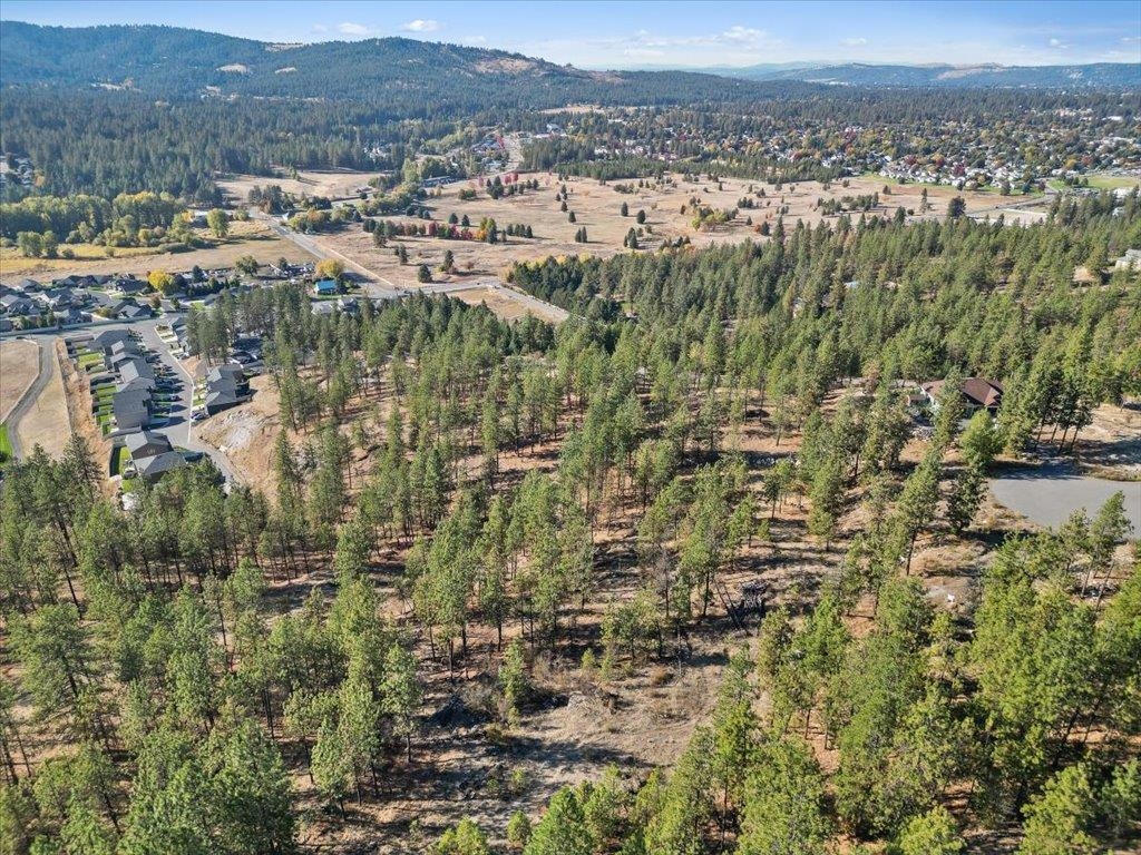 12616 East Chester Ridge Lane, Unit LOT 6 Spokane, WA 99206 - Photo 3 of 25