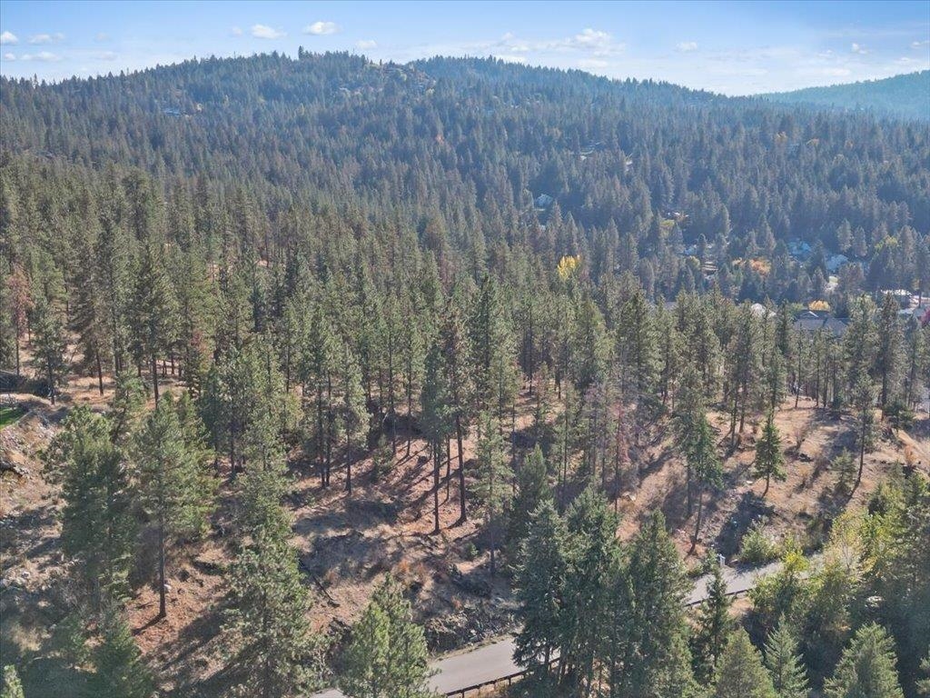 12616 East Chester Ridge Lane, Unit LOT 6 Spokane, WA 99206 - Photo 6 of 25