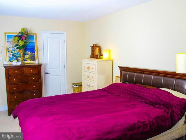 1220 Blair Mill Road, Unit 1110 Silver Spring, MD 20910 - Photo 17 of 21 Bedroom (Master)