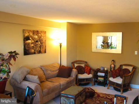 1220 Blair Mill Road, Unit 1110 Silver Spring, MD 20910 - Photo 3 of 21 Living Room