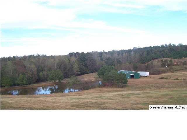 1776 County Road 96 Heflin, AL 36264 - Photo 28 of 31