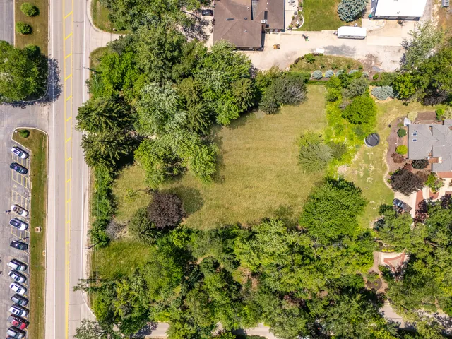 a view of a garden with plants