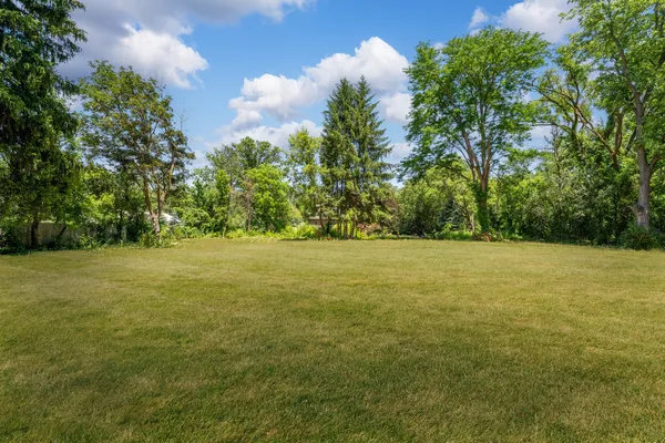 a view of yard with green space