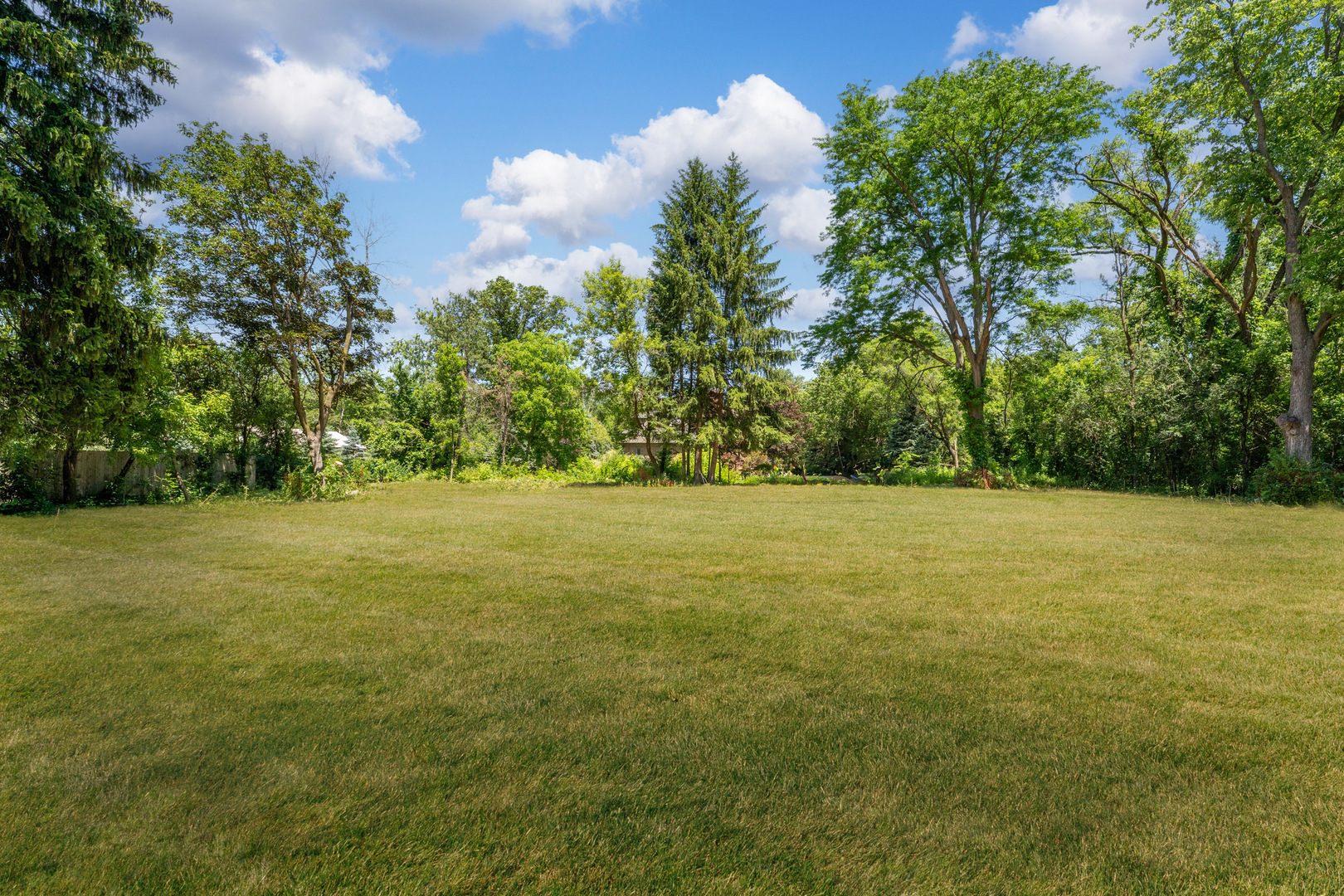 3680 Deerfield Road Riverwoods, IL 60015 - Photo 6 of 16 a view of yard with green space