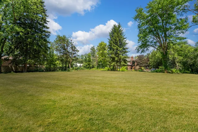 a view of yard with green space