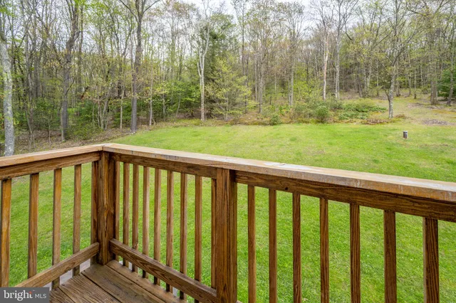 a view of backyard with green space