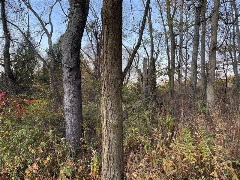 298 A McCombs Road Venetia, PA 15367 - Photo 11 of 12 a view of a forest