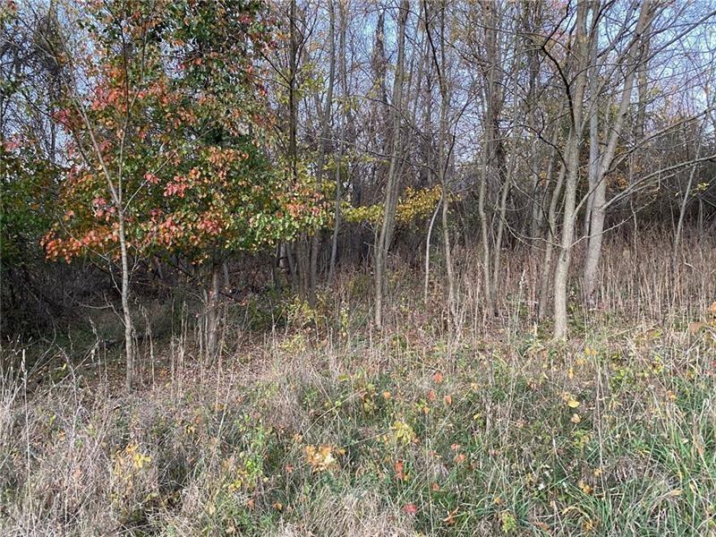 298 A McCombs Road Venetia, PA 15367 - Photo 5 of 12 a backyard of a house with lots of green space and lake view