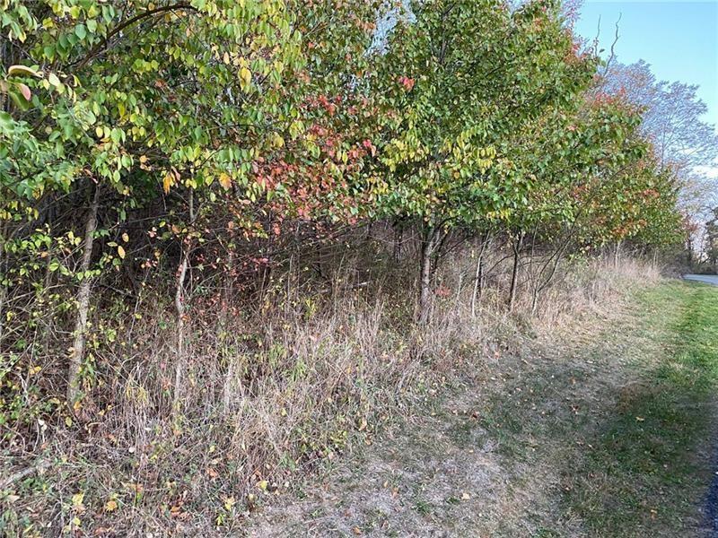 298 A McCombs Road Venetia, PA 15367 - Photo 6 of 12 a view of a lake with a tree