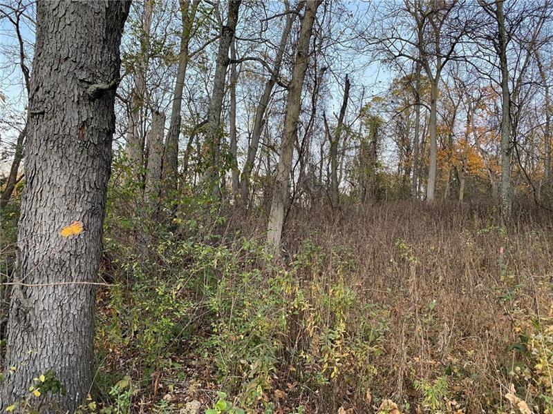 298 A McCombs Road Venetia, PA 15367 - Photo 8 of 12 a view of a forest with a tree