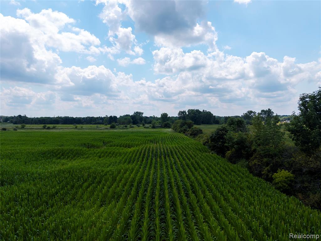 Vl Sharp Road Swartz Creek, MI 48473 - Photo 27 of 44 Gallery Image 27