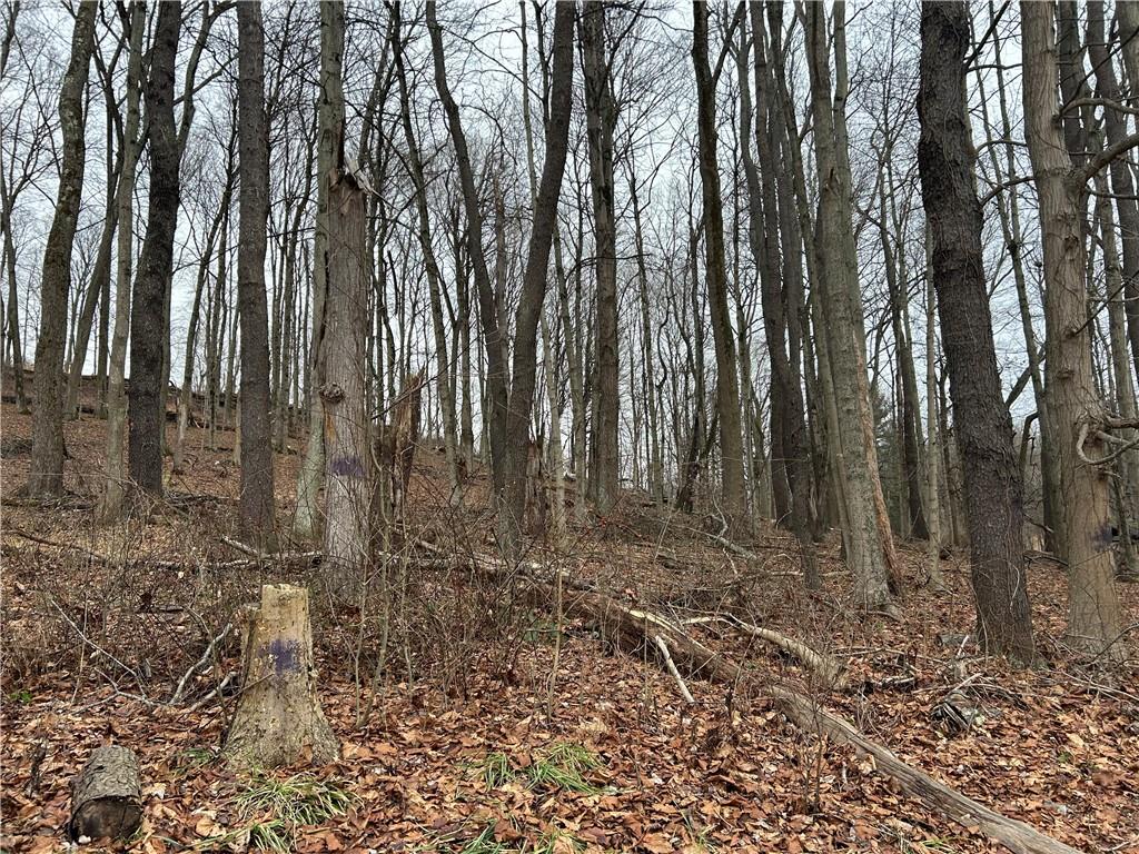 Bieda Lot Davis School Road Washington, PA 15301 - Photo 4 of 6 Gallery Image 4