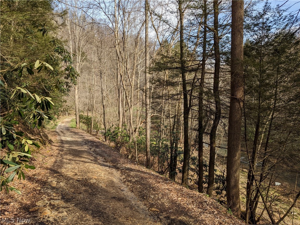 1487 Groves Creek Road Duck, WV 25063 - Photo 29 of 33 ROAD DRIVING INTO PROPERTY
