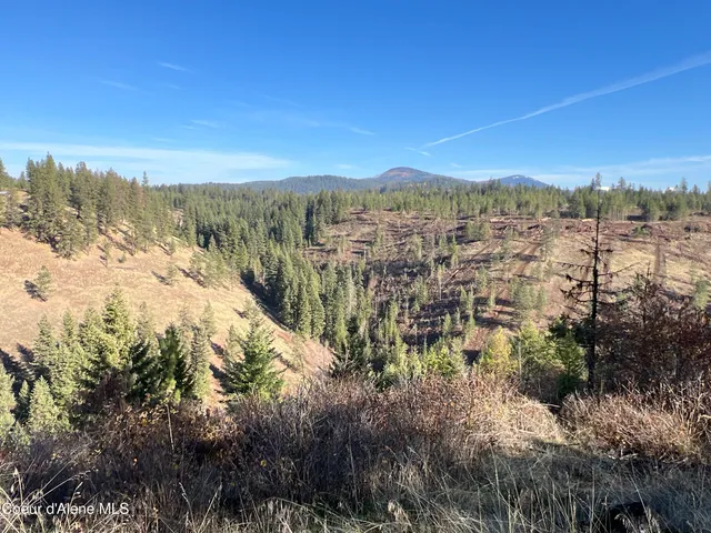 $199,900 | 3 State Highway 3, St. Maries, ID 83861