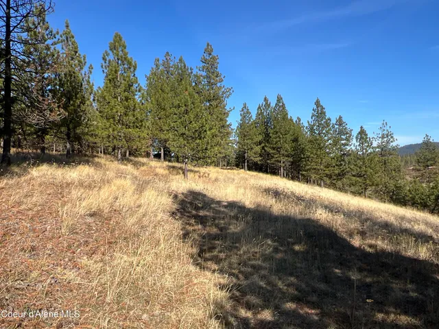 $199,900 | 3 State Highway 3, St. Maries, ID 83861