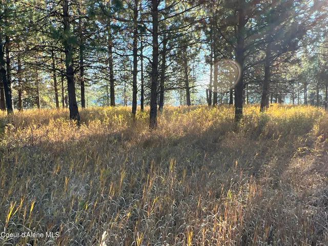 $199,900 | 3 State Highway 3, St. Maries, ID 83861