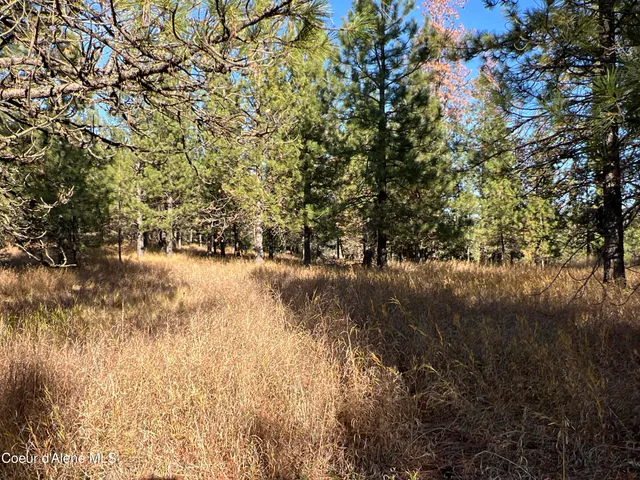 $199,900 | 3 State Highway 3, St. Maries, ID 83861