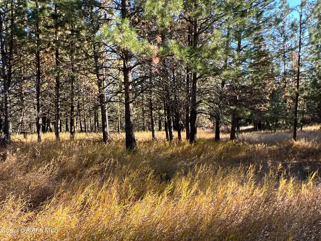 $199,900 | 3 State Highway 3, St. Maries, ID 83861