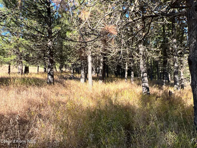 $199,900 | 3 State Highway 3, St. Maries, ID 83861