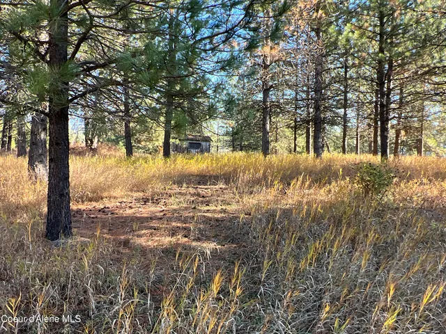 $199,900 | 3 State Highway 3, St. Maries, ID 83861