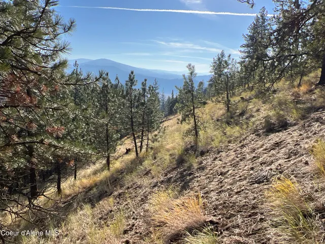 $199,900 | 3 State Highway 3, St. Maries, ID 83861