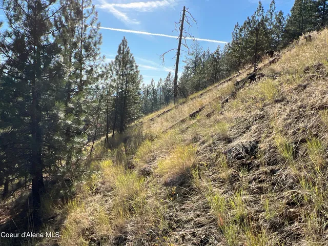 $199,900 | 3 State Highway 3, St. Maries, ID 83861