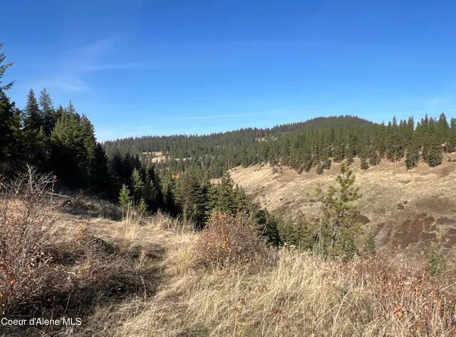 $199,900 | 3 State Highway 3, St. Maries, ID 83861