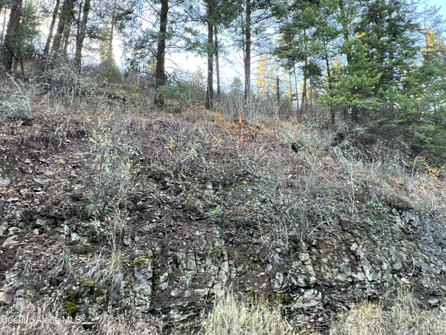 $199,900 | 3 State Highway 3, St. Maries, ID 83861