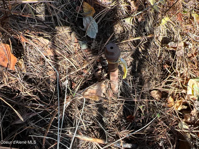 $199,900 | 3 State Highway 3, St. Maries, ID 83861