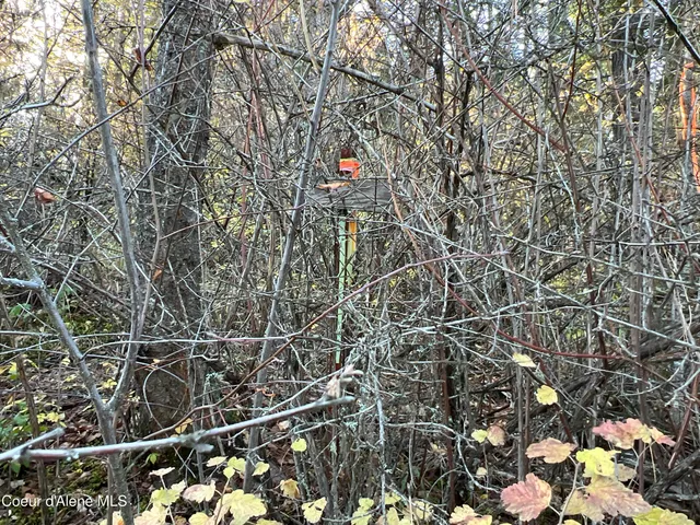 $199,900 | 3 State Highway 3, St. Maries, ID 83861