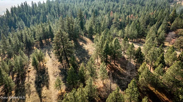 $199,900 | 3 State Highway 3, St. Maries, ID 83861