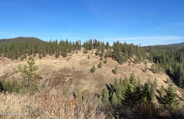 $199,900 | 3 State Highway 3, St. Maries, ID 83861