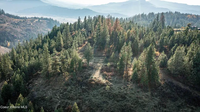 $199,900 | 3 State Highway 3, St. Maries, ID 83861