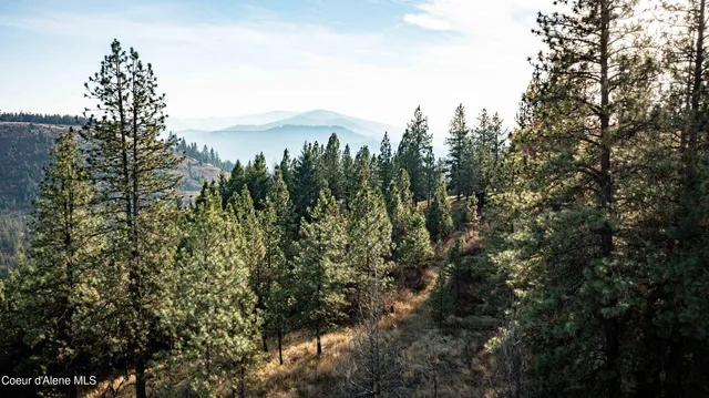 $199,900 | 3 State Highway 3, St. Maries, ID 83861