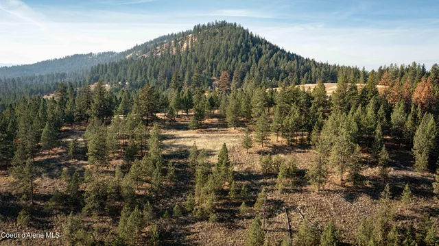 $199,900 | 3 State Highway 3, St. Maries, ID 83861