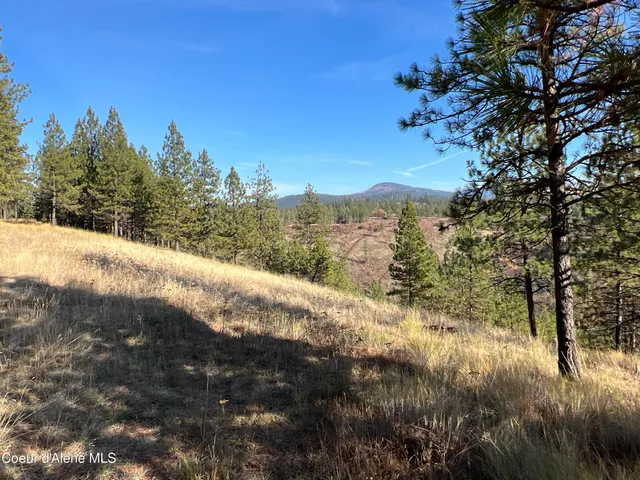 $199,900 | 3 State Highway 3, St. Maries, ID 83861