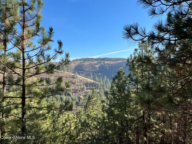 $199,900 | 3 State Highway 3, St. Maries, ID 83861