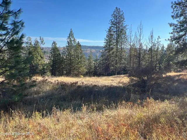 $199,900 | 3 State Highway 3, St. Maries, ID 83861