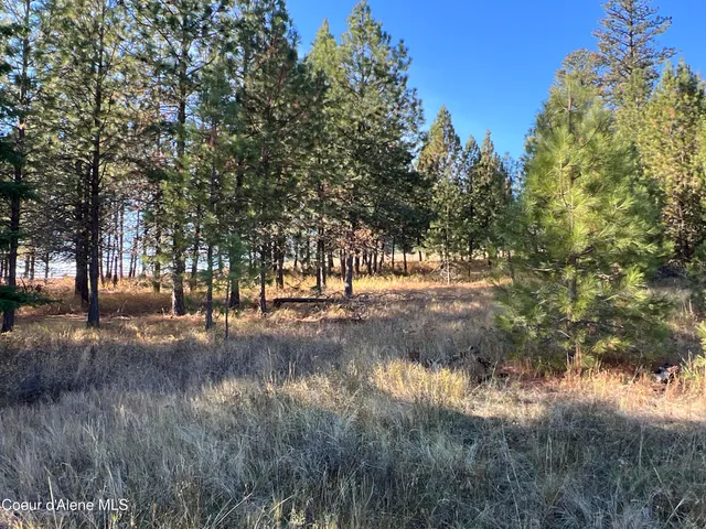 $199,900 | 3 State Highway 3, St. Maries, ID 83861