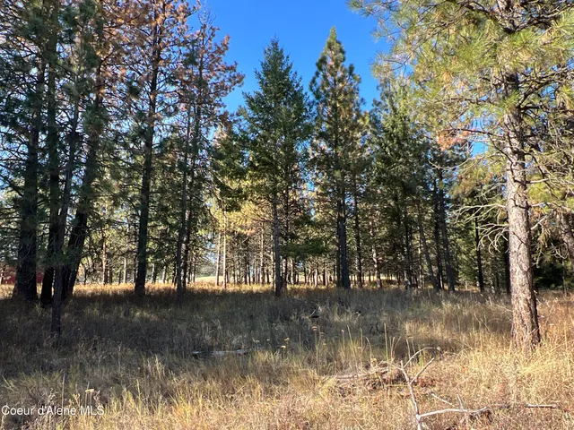 $199,900 | 3 State Highway 3, St. Maries, ID 83861