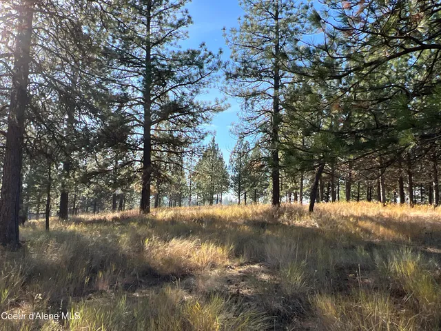 $199,900 | 3 State Highway 3, St. Maries, ID 83861