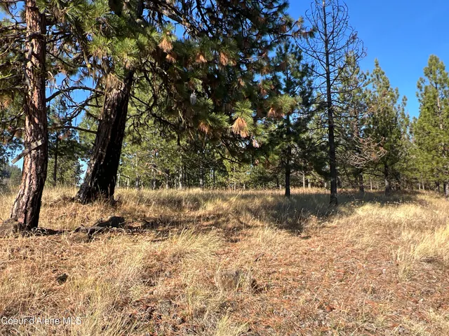 $199,900 | 3 State Highway 3, St. Maries, ID 83861