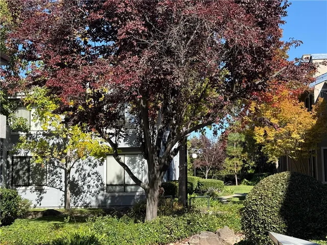 a close view of cabinet