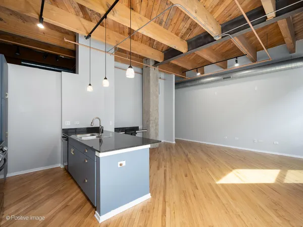 $2,999 | 1040 West Adams Street, Unit 245, Chicago, IL 60607