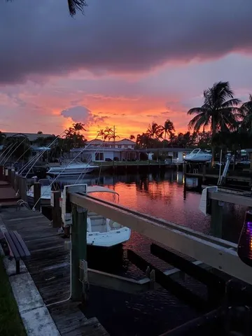 a view of a terrace with wooden floor and a potted plant