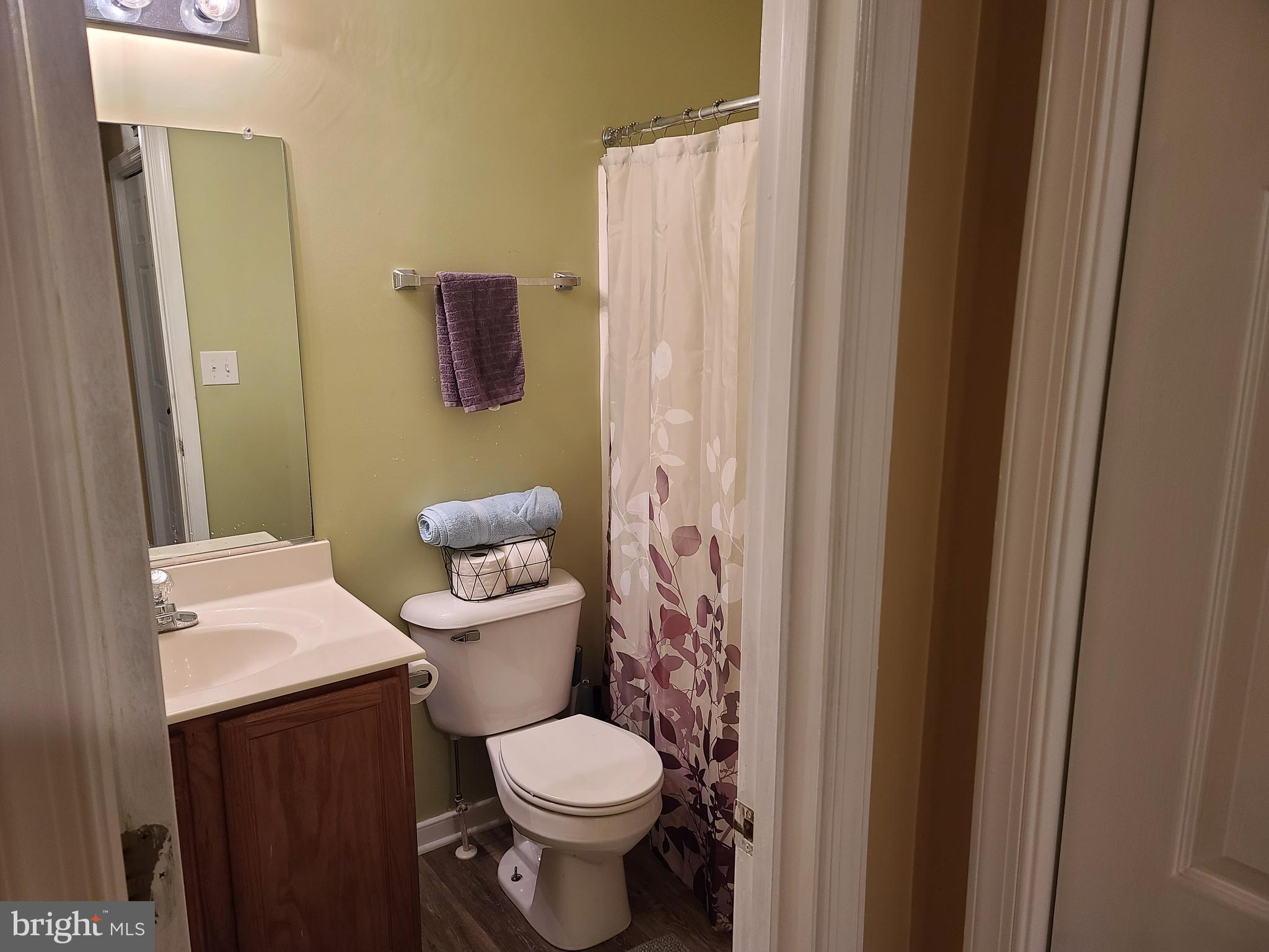 787 Reedy Creek Road Louisa, VA 23093 - Photo 13 of 29 Upstairs Guest Bath