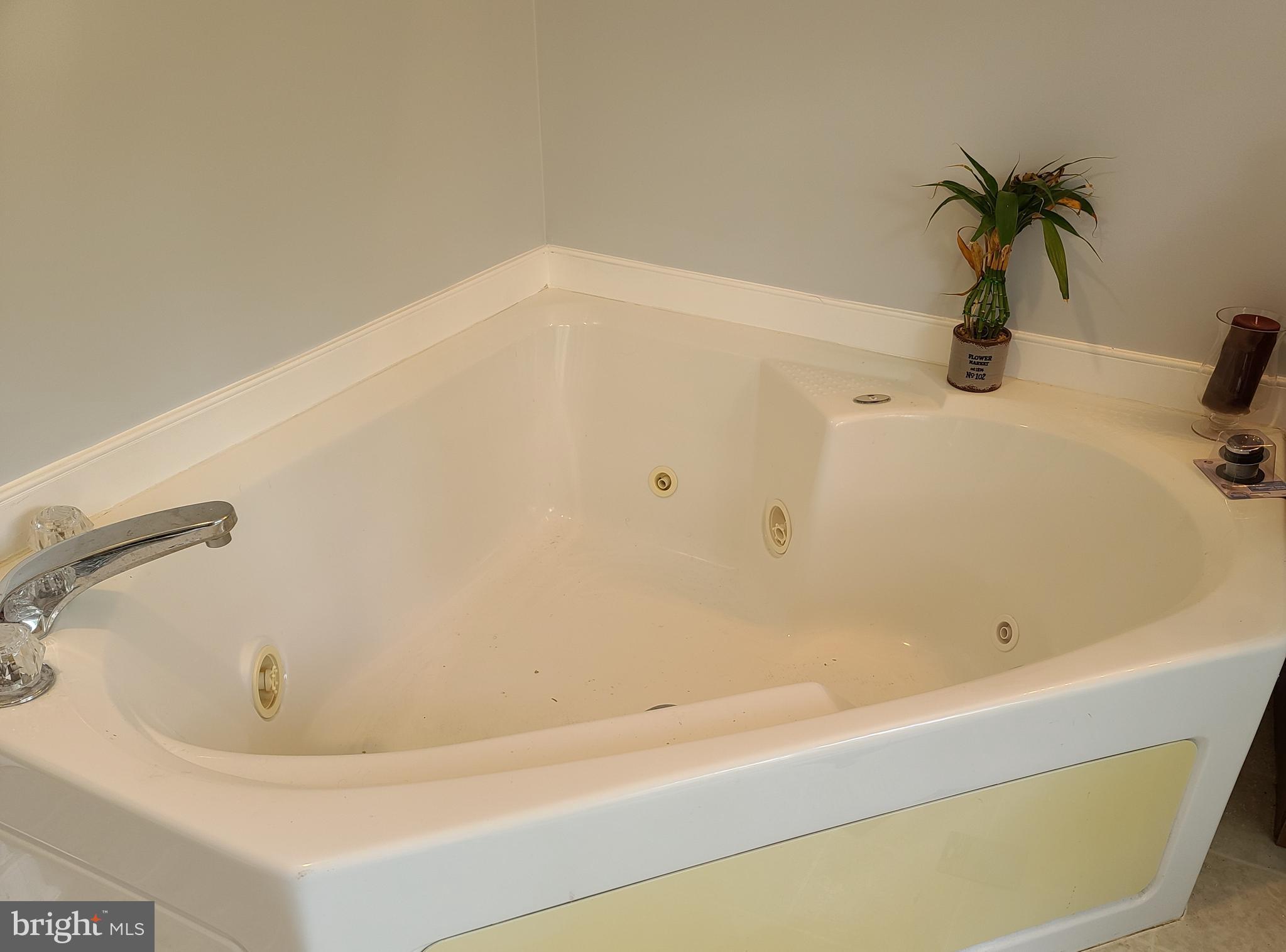 787 Reedy Creek Road Louisa, VA 23093 - Photo 21 of 29 Corner Jacuzzi Tub in Primary Bath