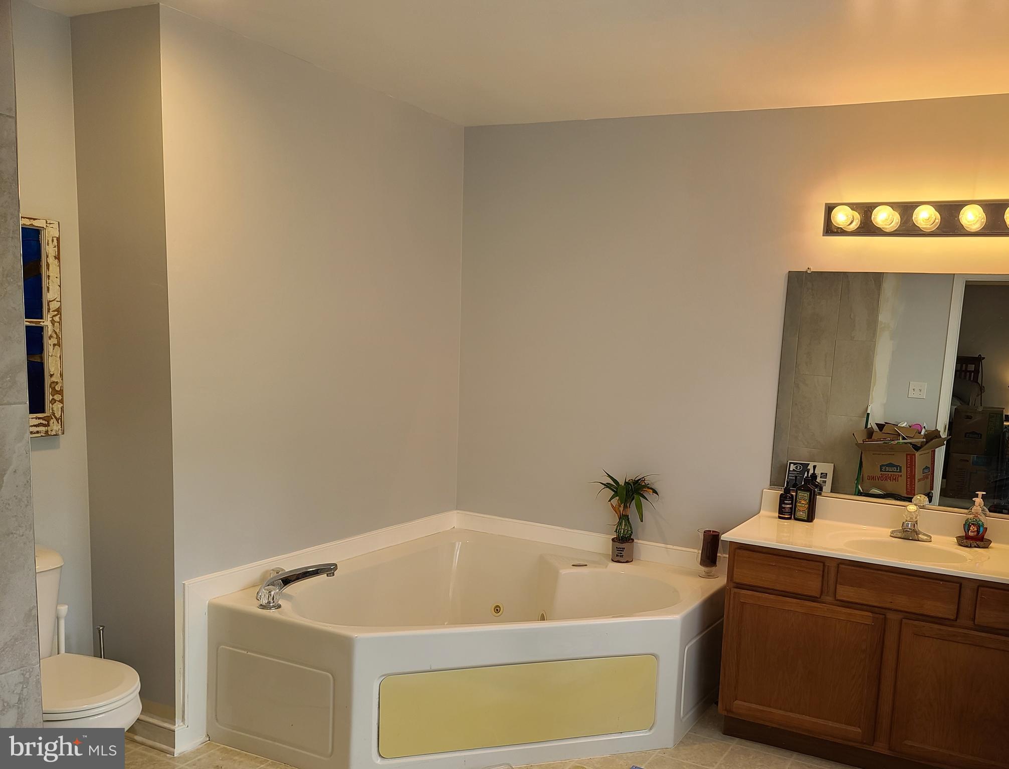 787 Reedy Creek Road Louisa, VA 23093 - Photo 22 of 29 Primary Bath